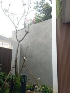 jasa cat dekoratif jakarta