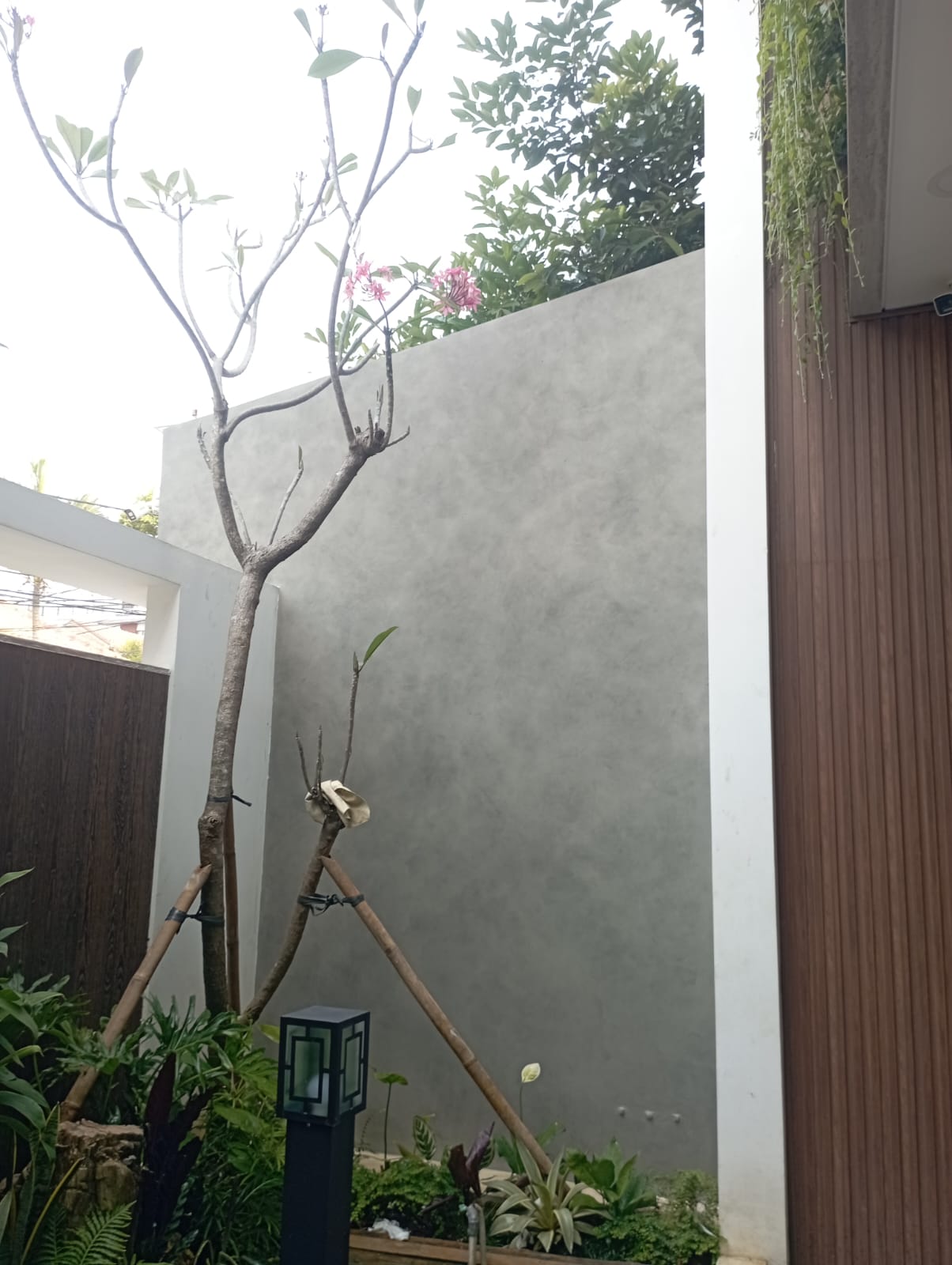 jasa cat dekoratif jakarta